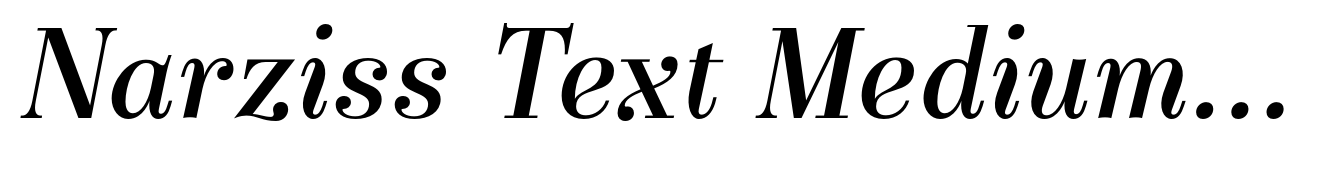 Narziss Text Medium Italic